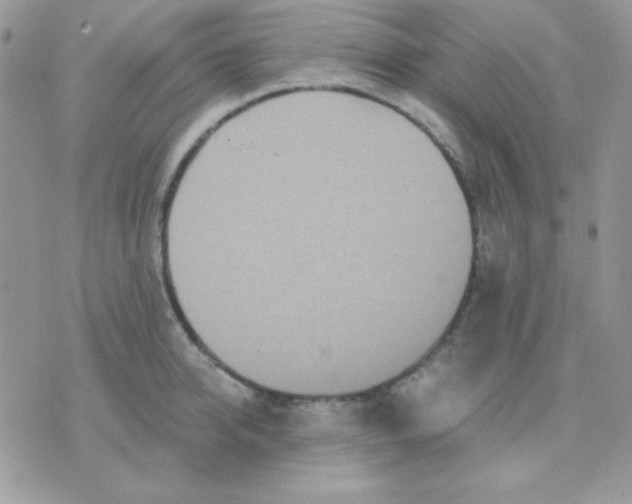 X0000071330950200607212004