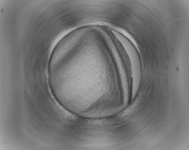 X0000071330951200607212004