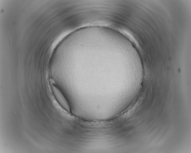 X0000071330952200607212004