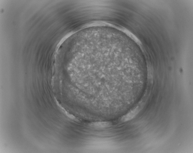 X0000071330953200607212004