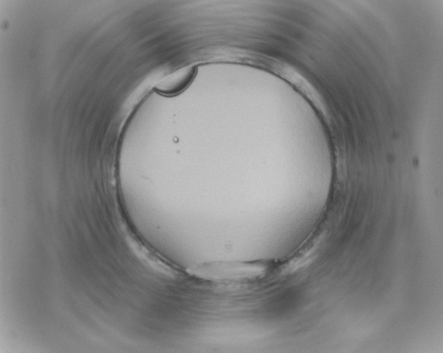 X0000071330954200607212004