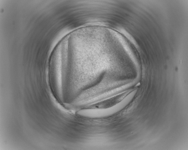 X0000071330955200607212004