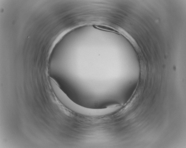 X0000071330956200607212004