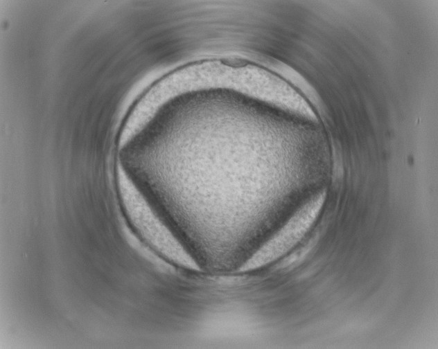 X0000071330958200607212004