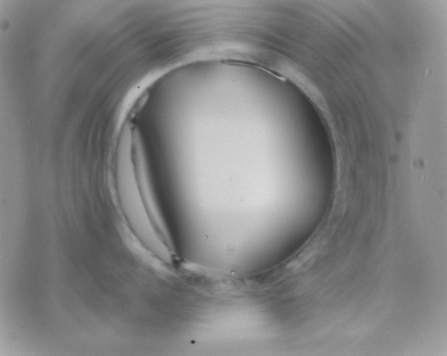 X0000071330960200607212004