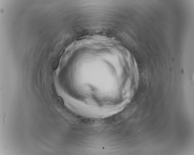 X0000071330961200607212003