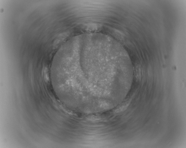 X0000071330962200607212003