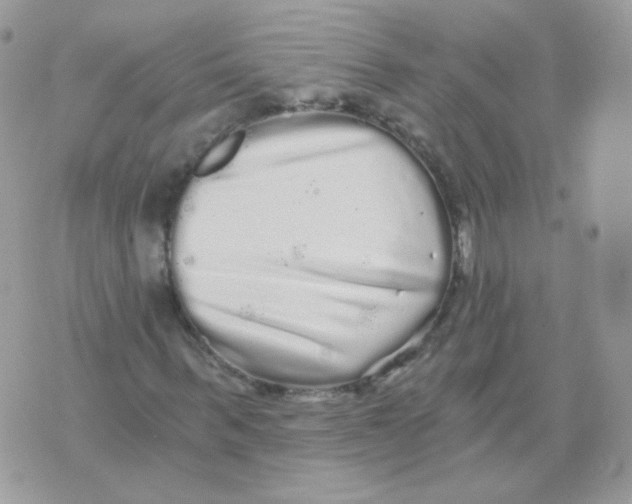 X0000071330963200607212003