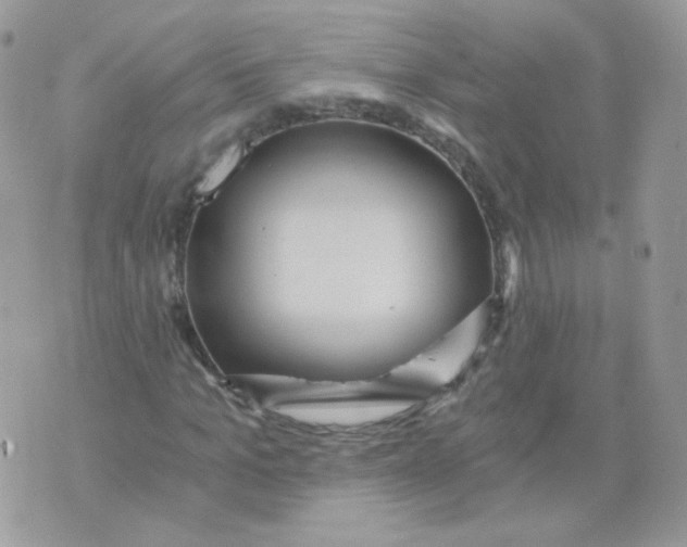 X0000071330965200607212003