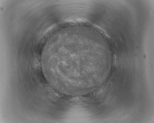 X0000071330966200607212003