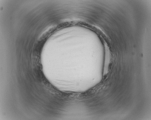 X0000071330967200607212003