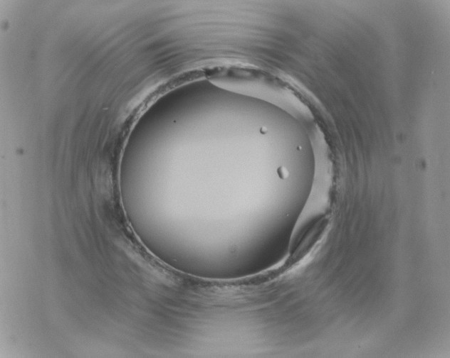 X0000071330969200607212003