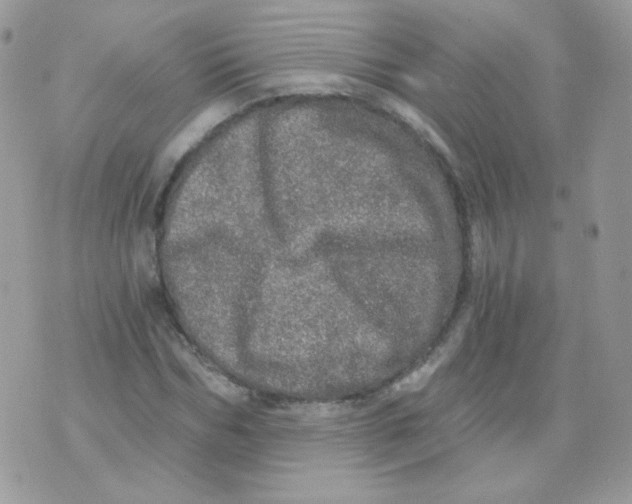 X0000071330970200607212003