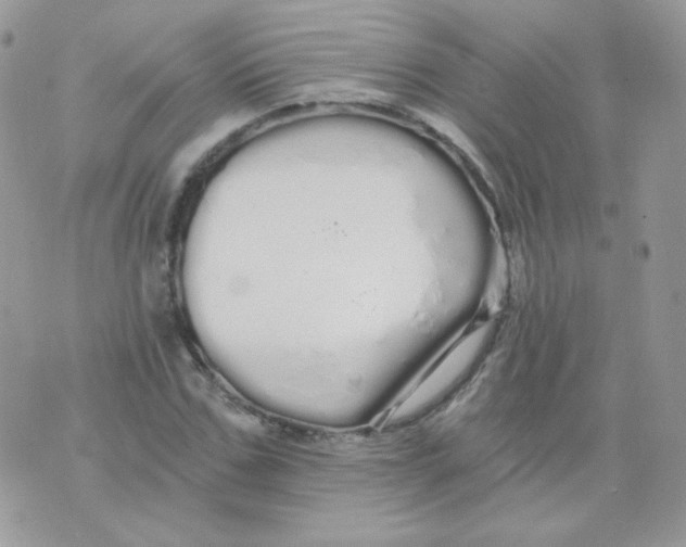 X0000071330971200607212003