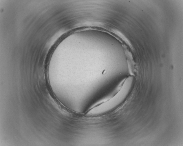 X0000071330972200607212003