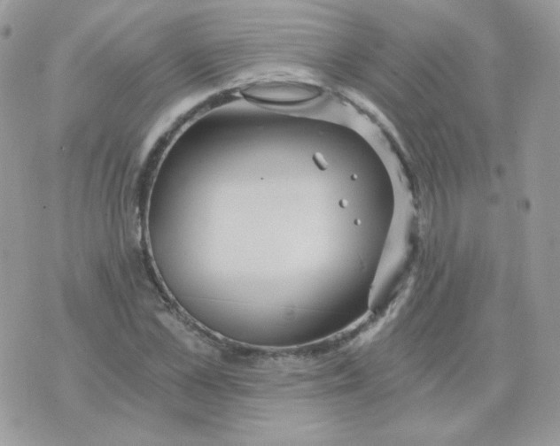 X0000071330973200607212003