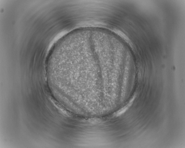 X0000071330974200607212003