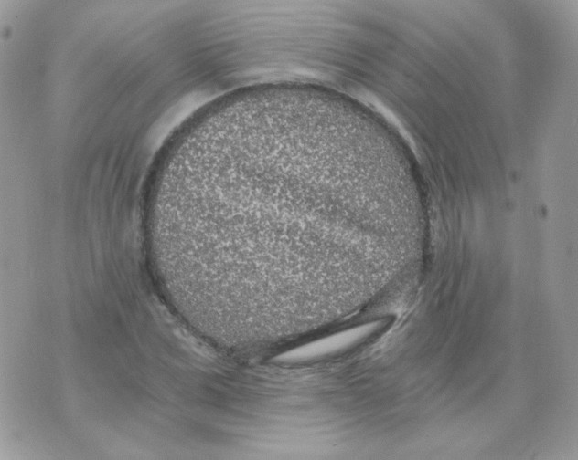 X0000071330975200607212003