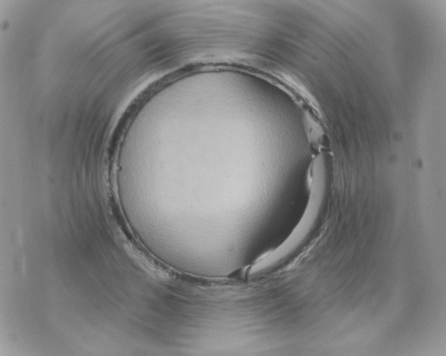 X0000071330976200607212003