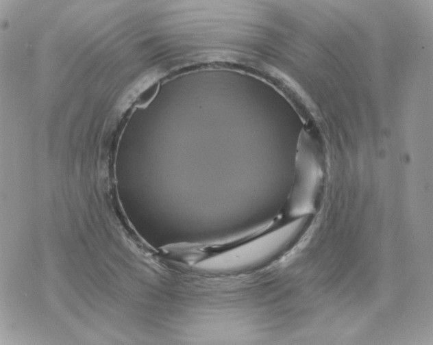 X0000071330977200607212003