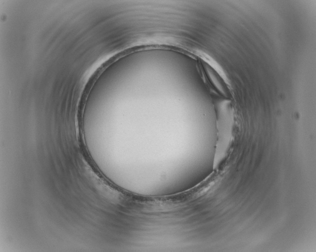 X0000071330980200607212003