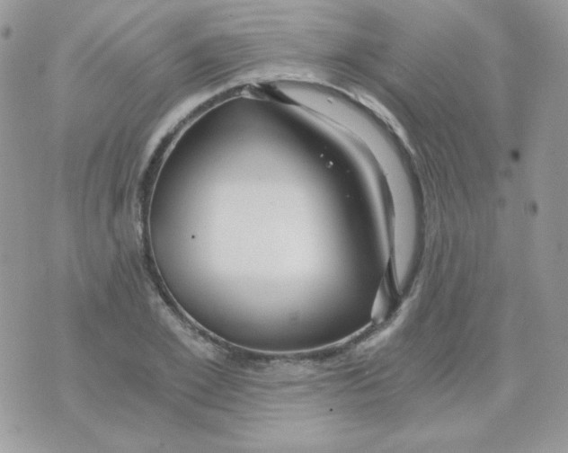 X0000071330981200607212003