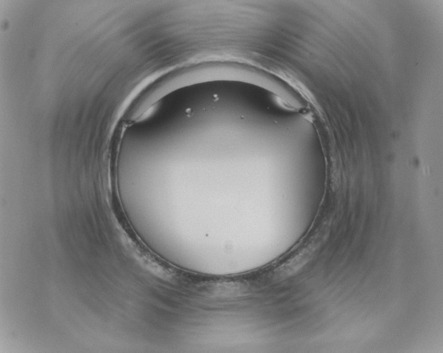 X0000071330984200607212003