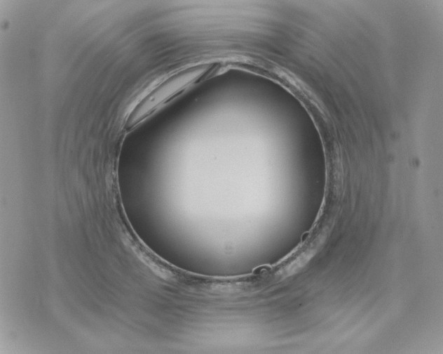 X0000071330985200607212003