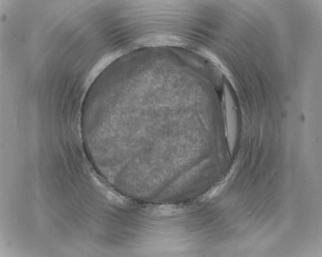 X0000071330986200607212003