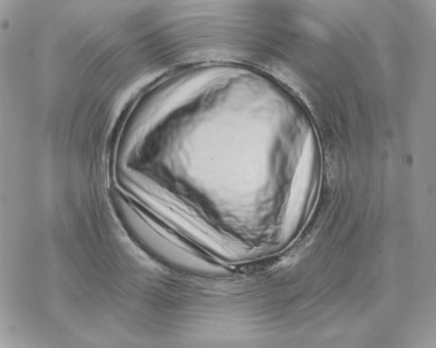 X0000071330987200607212003