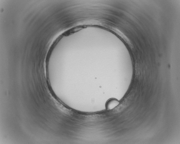 X0000071330988200607212003