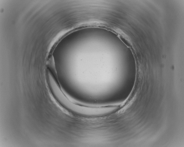 X0000071330989200607212003