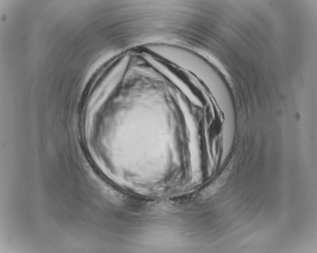 X0000071330991200607212003