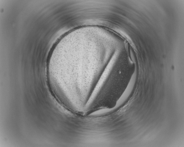 X0000071330992200607212002