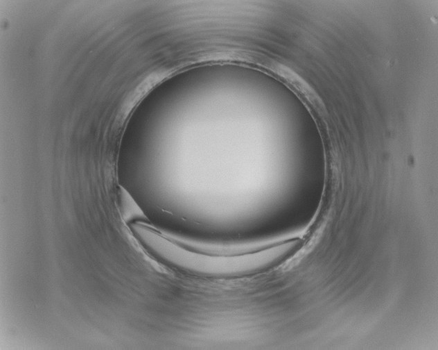 X0000071330993200607212002