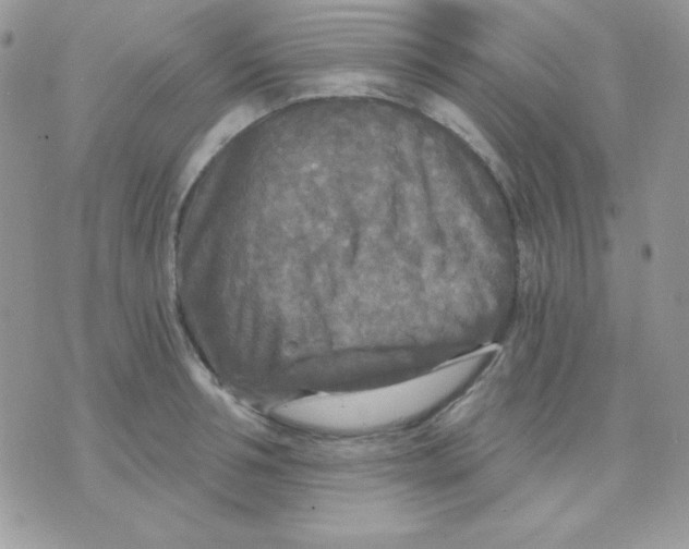 X0000071330994200607212002