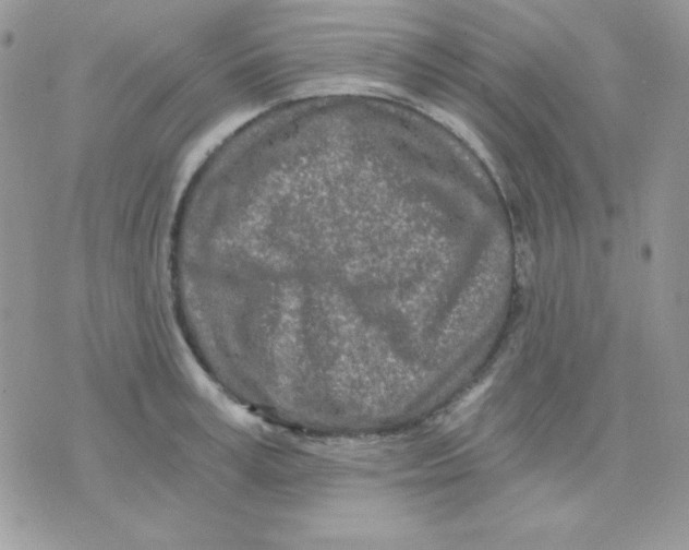 X0000071330995200607212002