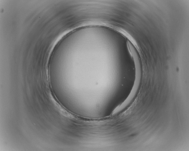 X0000071330996200607212002