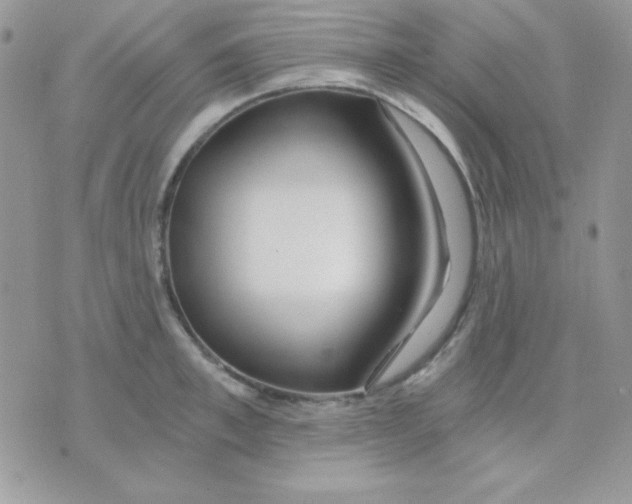 X0000071330997200607212002