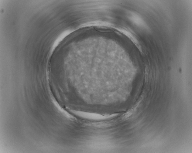 X0000071330998200607212002