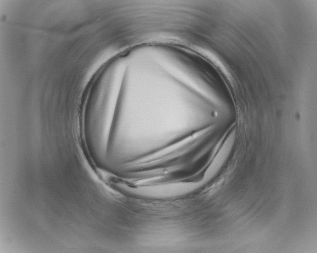 X0000071330999200607212002