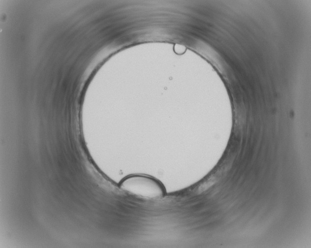 X0000071331000200607212002