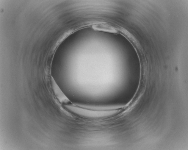 X0000071331001200607212002