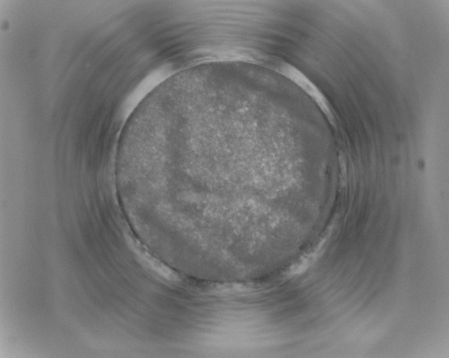 X0000071331002200607212002