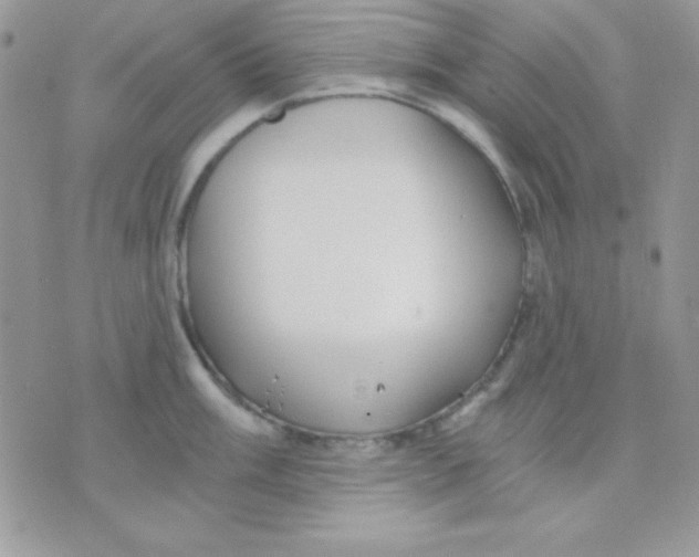 X0000071331003200607212002