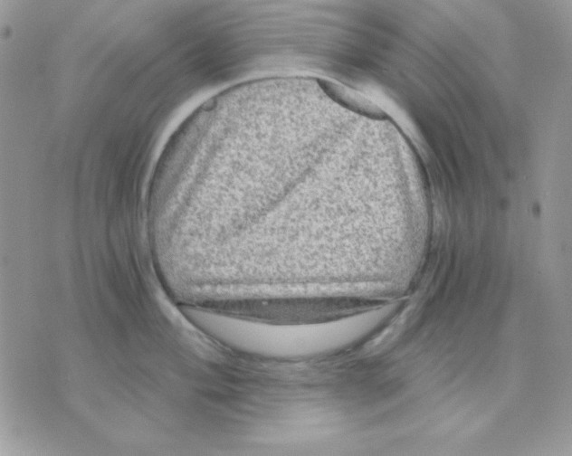 X0000071331004200607212002