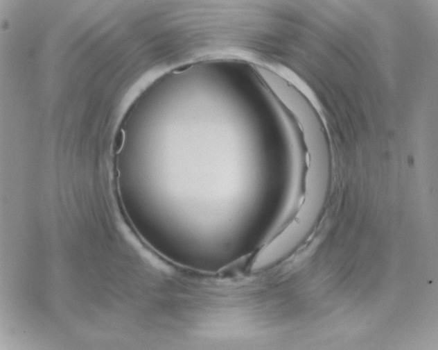 X0000071331005200607212002