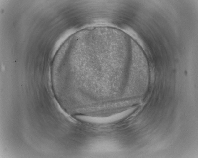 X0000071331006200607212002