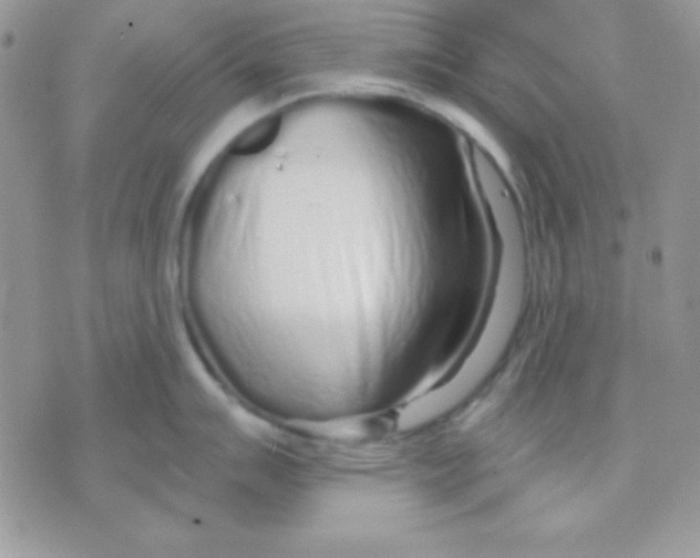 X0000071331007200607212002