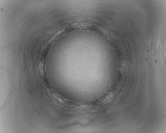 X0000071331010200607212001